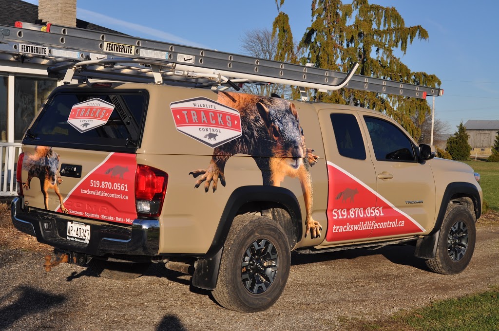 Tracks Wildlife Control | 10110 Fernhill Dr, Denfield, ON N0M 1P0, Canada | Phone: (519) 870-0561