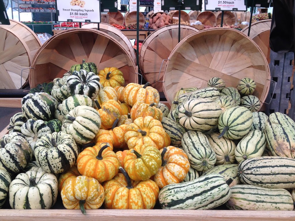 Barrie Hill Farms | 2935 Barrie Hill Rd, Springwater, ON L9X 1S8, Canada | Phone: (705) 728-0571
