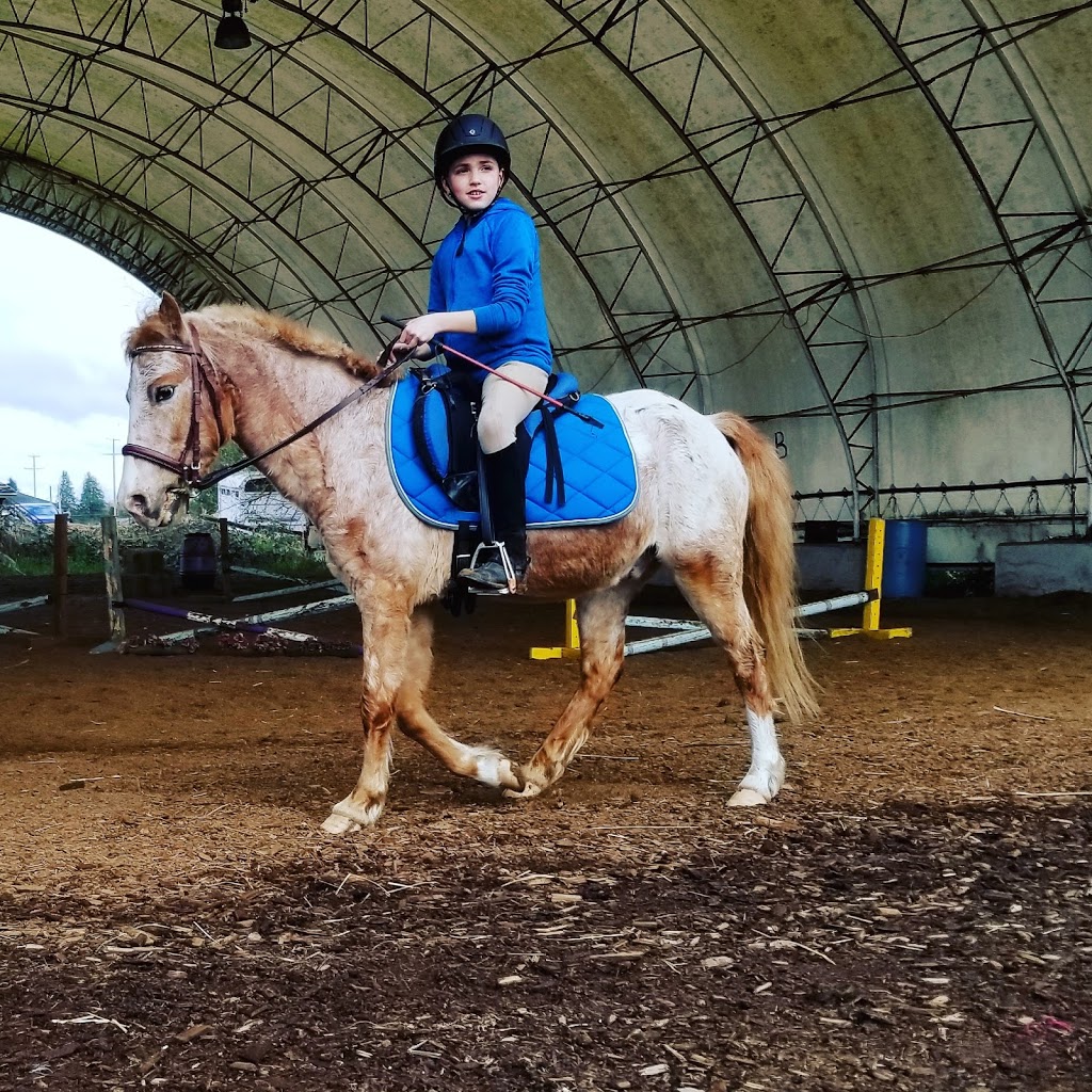 Pemberley Riding School | 21281 128 Ave, Maple Ridge, BC V4R 2N1, Canada | Phone: (604) 836-7522