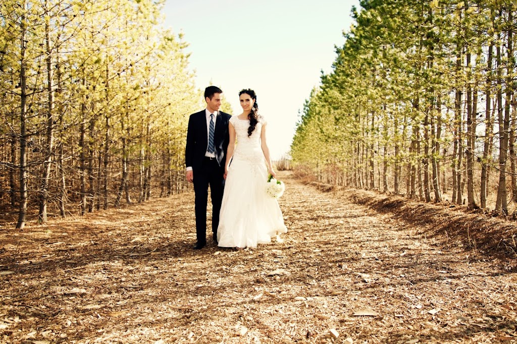 Shutter Impressions | 29 Bermuda Dr NW, Calgary, AB T3K 1H5, Canada | Phone: (587) 894-0115