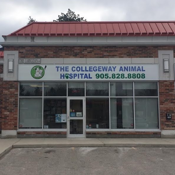 The Collegeway Animal Hospital | 2686 The Collegeway #101, Mississauga, ON L5L 2M9, Canada | Phone: (905) 828-8808