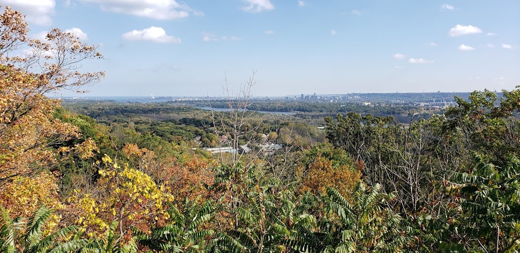 Claras Climb | 235 Sydenham Rd, Millgrove, ON L0R 1V0, Canada