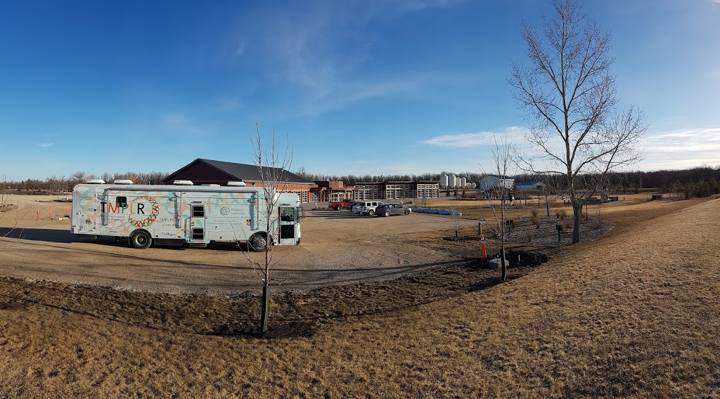 Kelburn Farm | Ritchot, MB R5A 1K2, Canada | Phone: (204) 269-2799