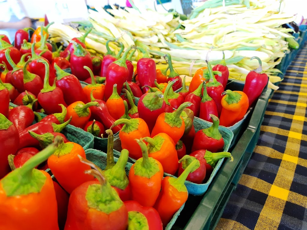 Marché Public dInverness | 1862 Rte Dublin, Inverness, QC G0S 1K0, Canada | Phone: (418) 453-2512