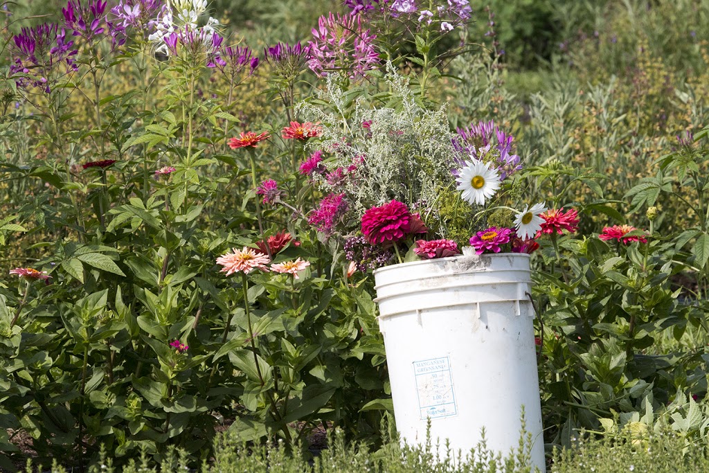 Lochland Botanicals | 2500 25 Side Rd, Campbellville, ON L0P 1B0, Canada | Phone: (519) 831-0363