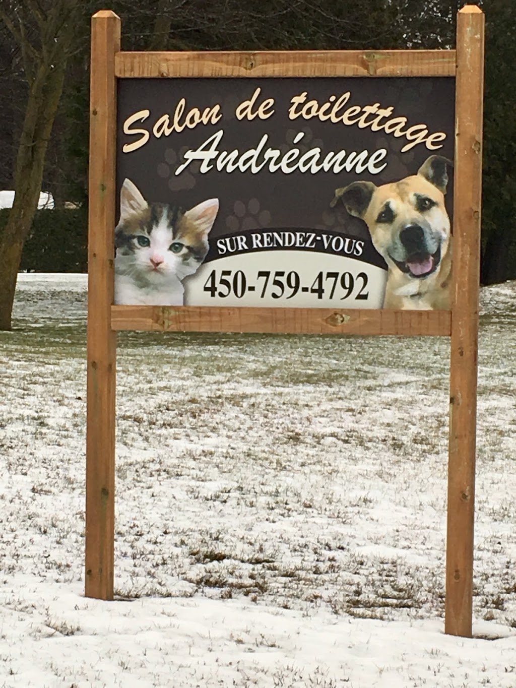 Salon de toilettage Andréanne | 320 Rue Bernard, Sainte-Mélanie, QC J0K 3A0, Canada | Phone: (450) 759-4792