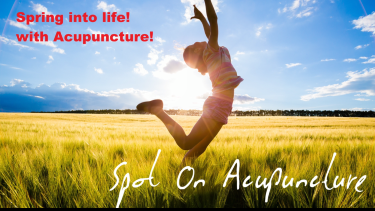 Spot On Acupuncture | 240 Manning Crossing NW, Edmonton, AB T5A 5A1, Canada | Phone: (780) 756-6505