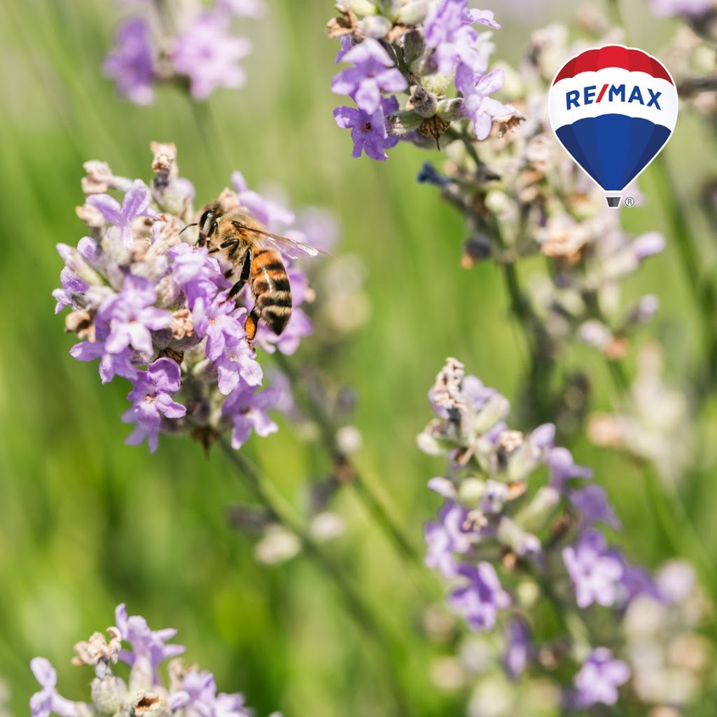 5 Points Group - Re/Max Hallmark Chay Realty | 241 Essa Rd Unit #7, Barrie, ON L4N 6B7, Canada | Phone: (705) 503-1300