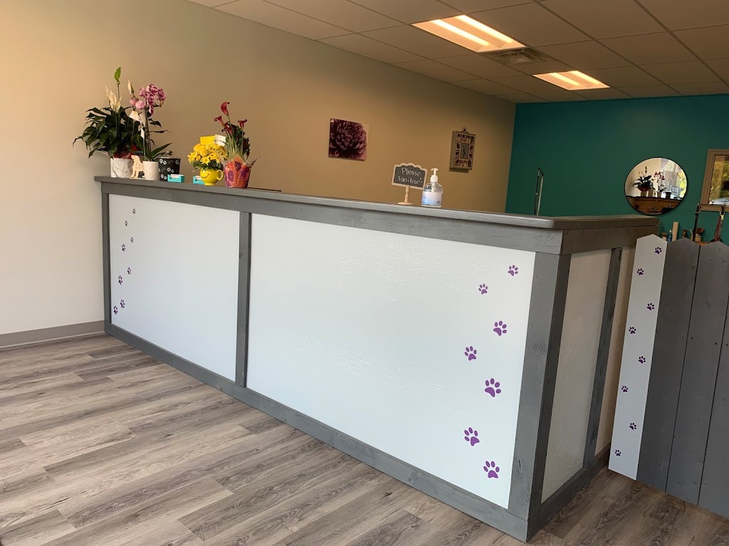 Creative Canine Dog Grooming | 750 Colborne St E Unit 6, Brantford, ON N3S 3S1, Canada | Phone: (519) 304-9247