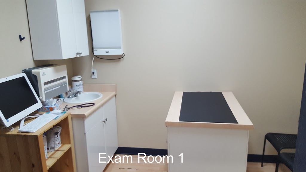 Orchard Animal Hospital | 2020 Appleby Line, Burlington, ON L7L 6M6, Canada | Phone: (905) 634-4526