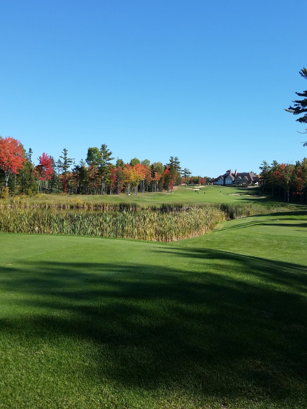 High Maintenance | 119 Golf St, Dieppe, NB E1A 8K9, Canada | Phone: (506) 381-7569