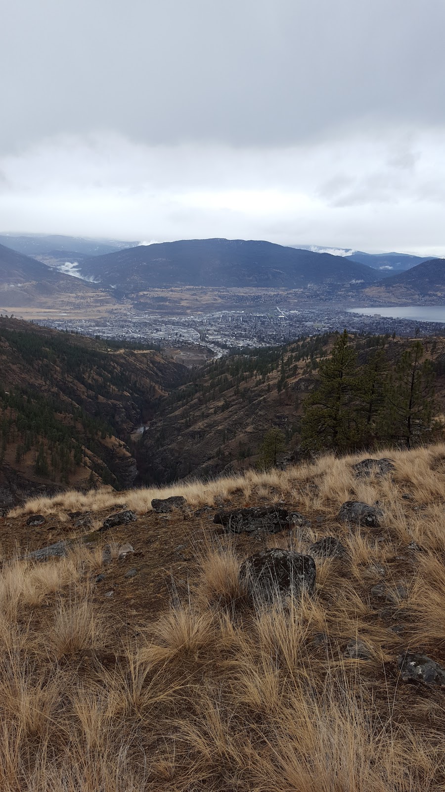 Garnet Fire Interpretive Centre | Beaver Dell Rd, Penticton, BC V2A 8V6, Canada