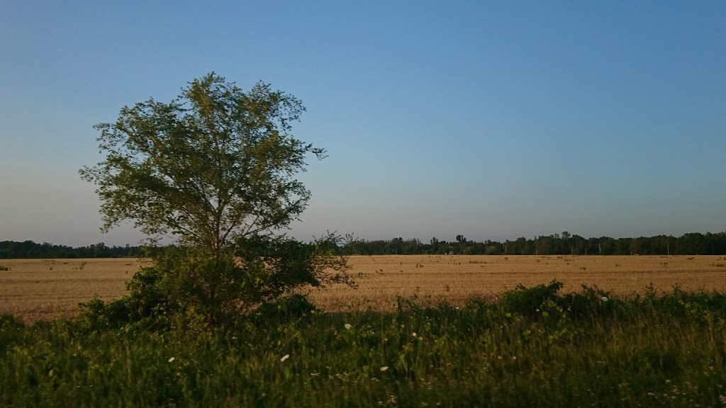 South Port Golf Course | 5374 Bruce County Rd 3, Port Elgin, ON N0H 2C0, Canada | Phone: (519) 832-5650