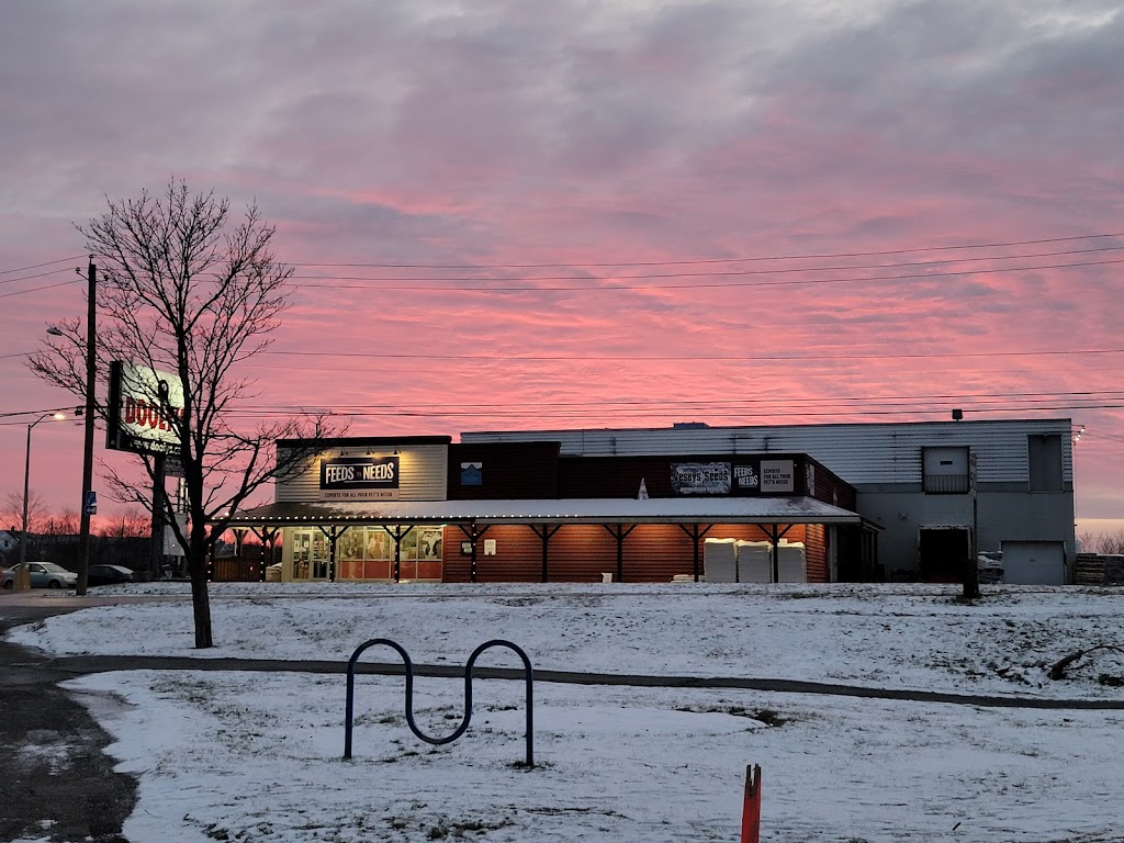 Feedsn Needs (Shur-Gain) | 50 Juniper St, Truro, NS B2N 5Z8, Canada | Phone: (902) 893-3186