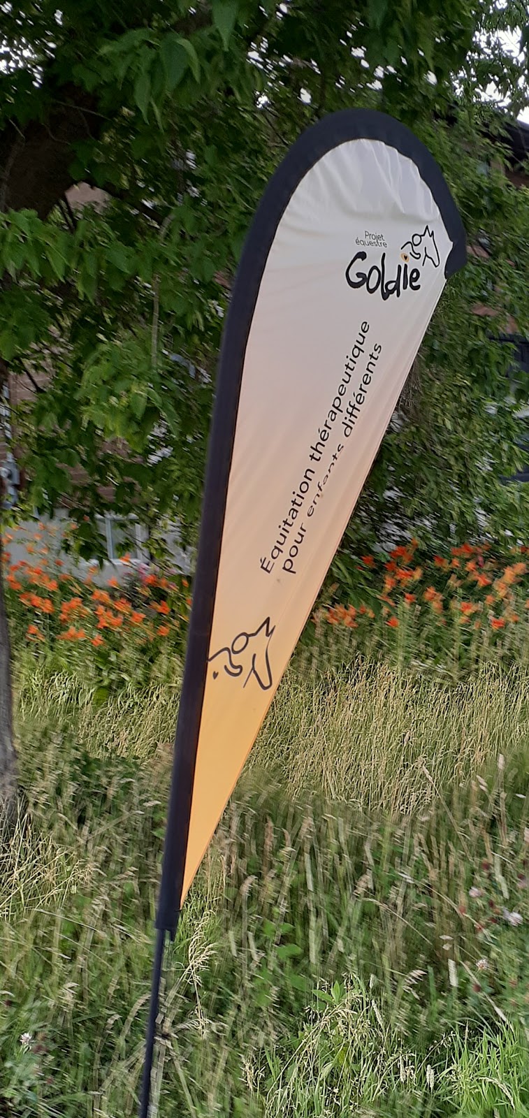 Projet Equestre Goldie | 402 Chem. de la Côte S, Blainville, QC J7E 4H5, Canada | Phone: (450) 821-8157