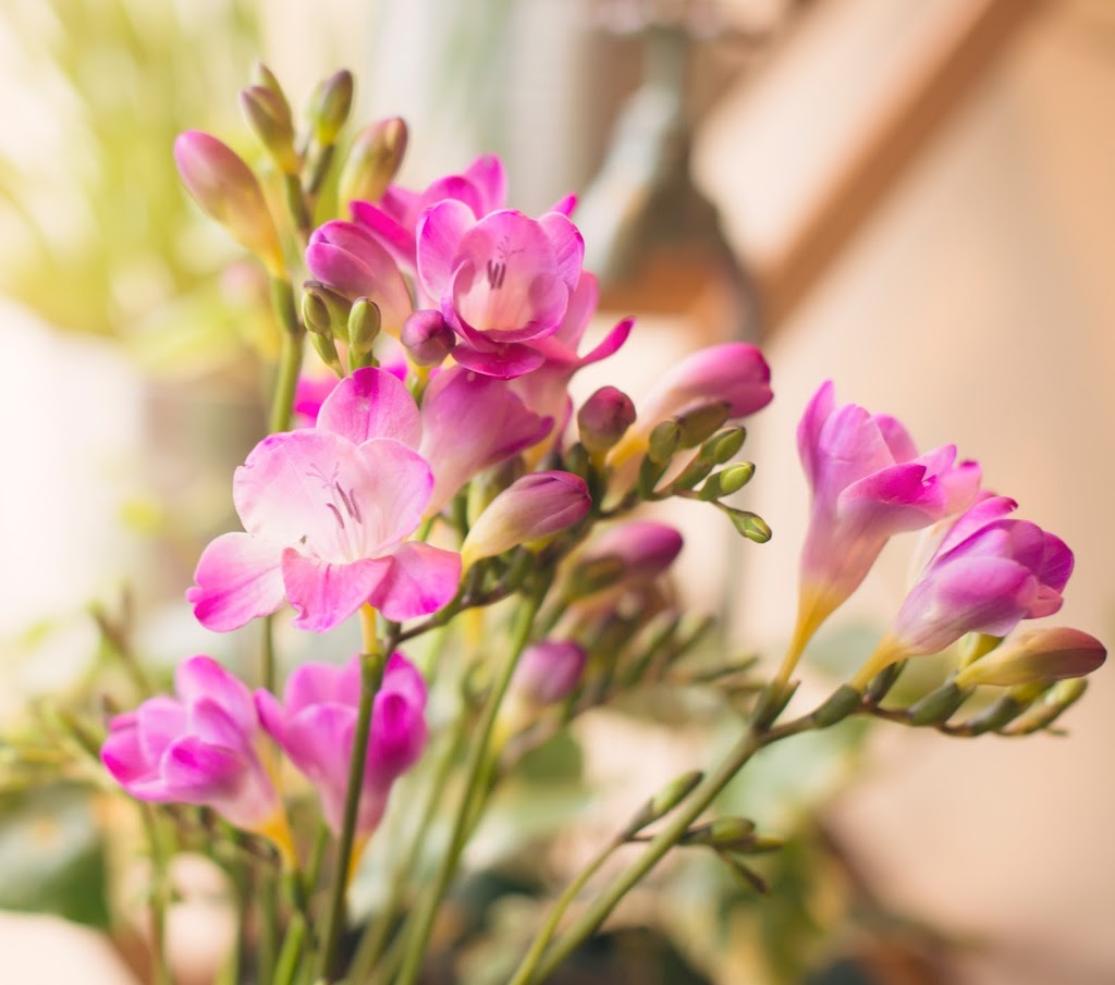 Le Jardin Flower Shop | 24 Queen St W, Cambridge, ON N3C 1G1, Canada | Phone: (226) 600-2559