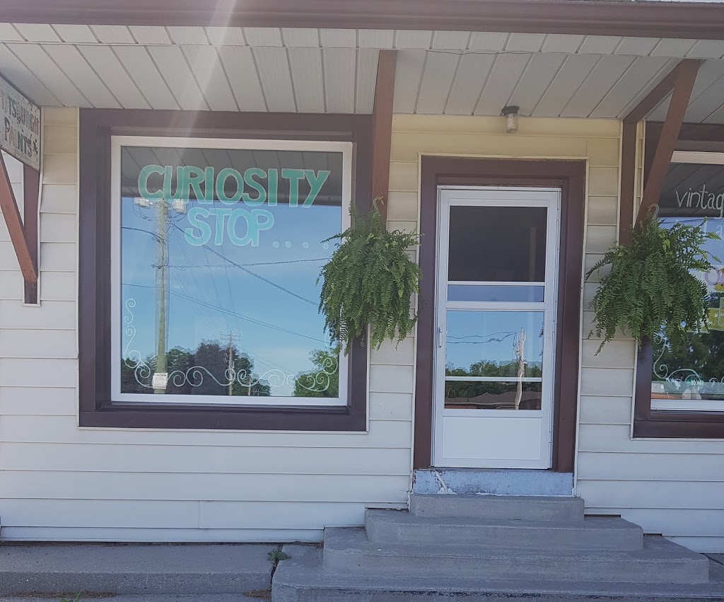Curiosity Stop | 49 Simcoe St, Scotland, ON N0E 1R0, Canada
