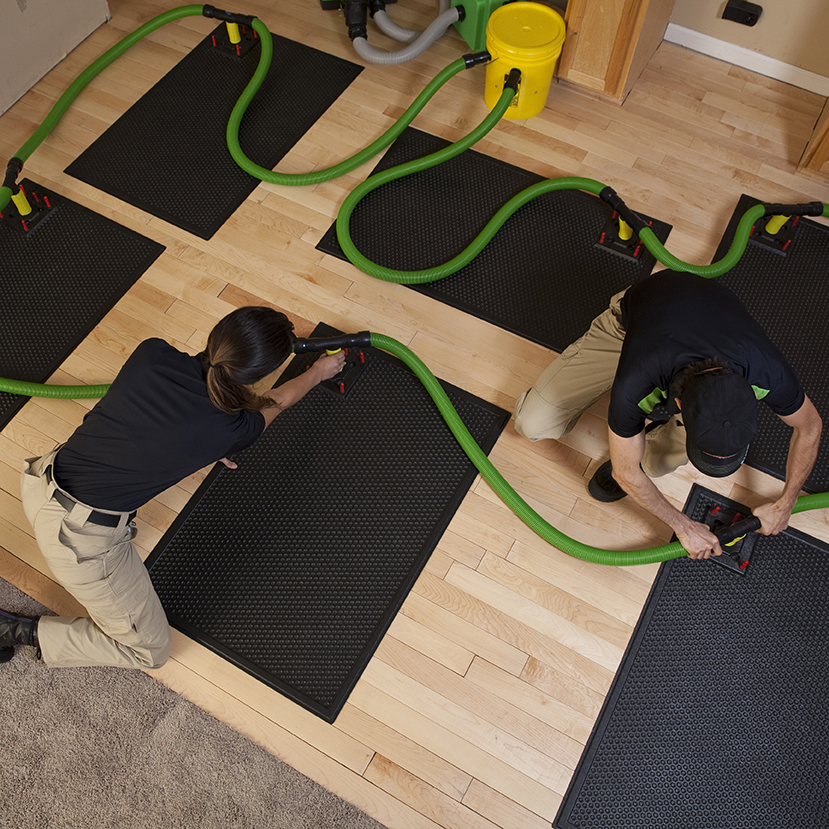 SERVPRO of Edmonton Southside | 6627 59 St NW, Edmonton, AB T6B 3P8, Canada | Phone: (780) 784-7777