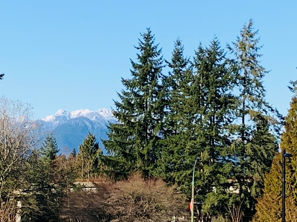 Variety Park Playground | 3805 Kingsway, Burnaby, BC V5H 1Y7, Canada | Phone: (604) 294-7450