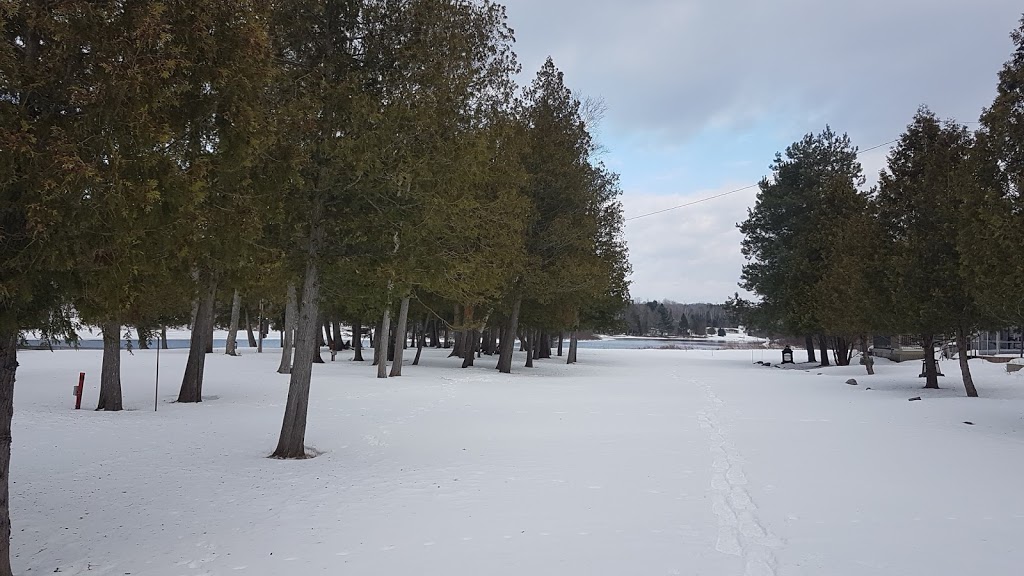 Camping La Pinède | 1735 Rue de la Pinède, Chénéville, QC J0V 1E0, Canada | Phone: (819) 428-3264