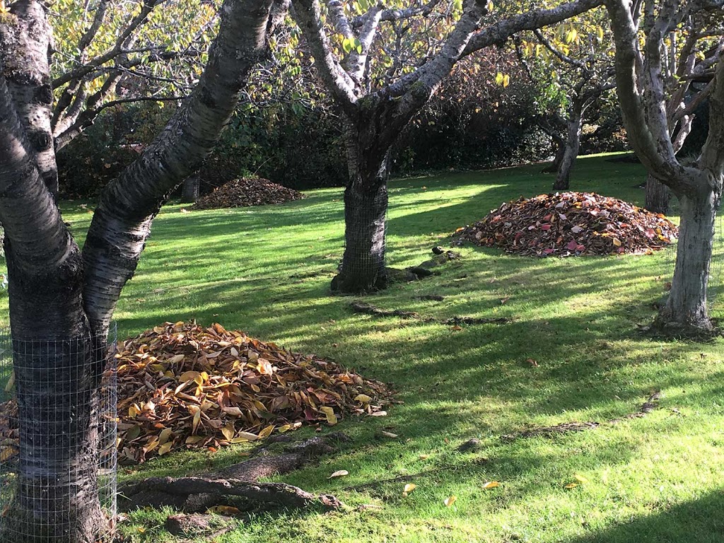 Long Lake Landscaping | 8450 Lisa Ln, Lantzville, BC V0R 2H0, Canada | Phone: (250) 729-1167