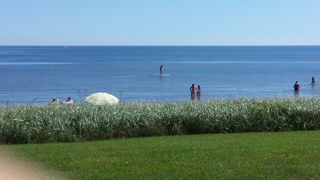 Tonys Place | 471 Chemin de la Côte, Grande-Digue, NB E4R 4B6, Canada | Phone: (506) 576-7478