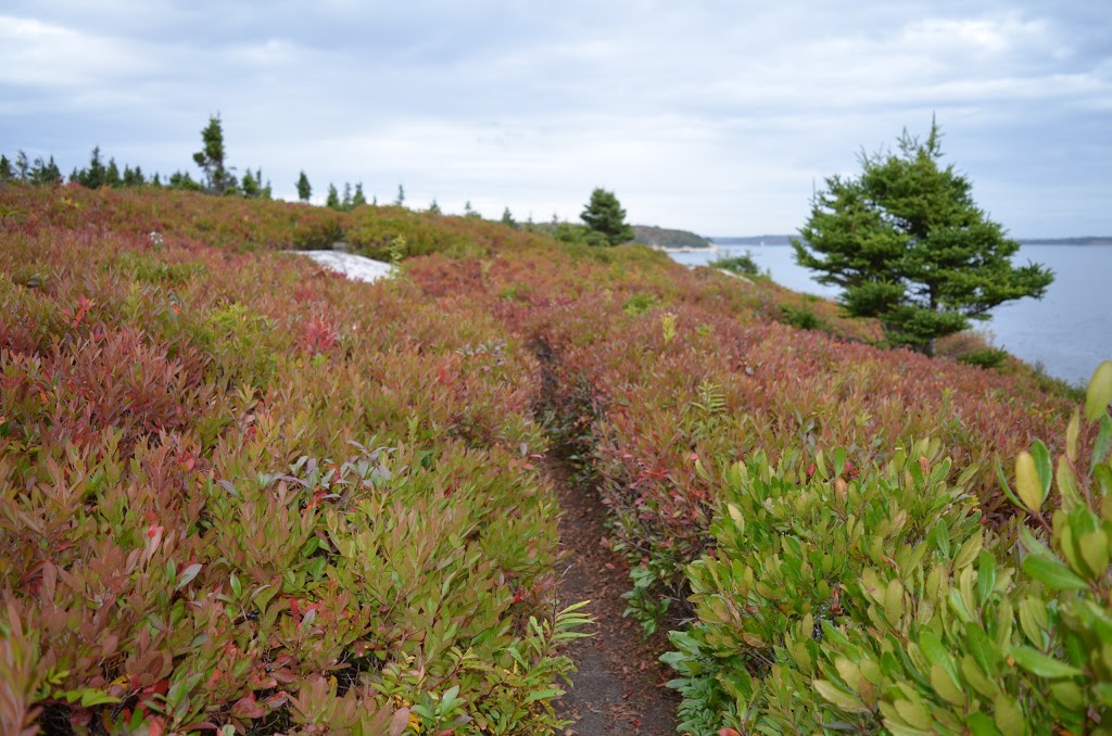 Herring Cove Provincial Park Reserve | 34 Shore Rd, Herring Cove, NS B3V 1G7, Canada