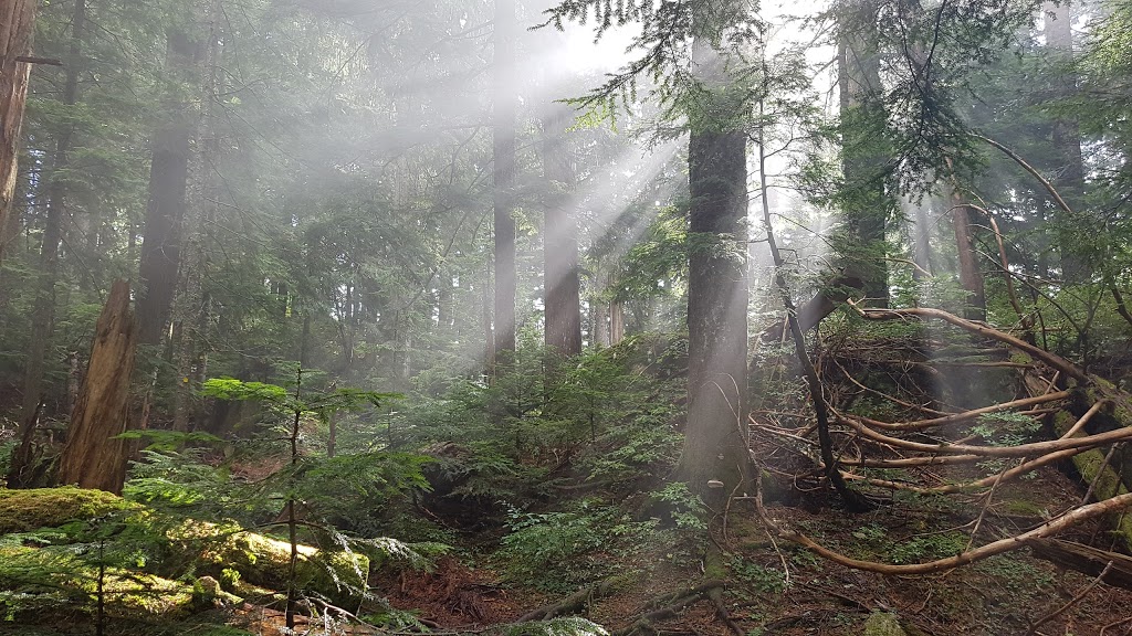 Lynn Peak | North Vancouver, BC V7K 3B2, Canada