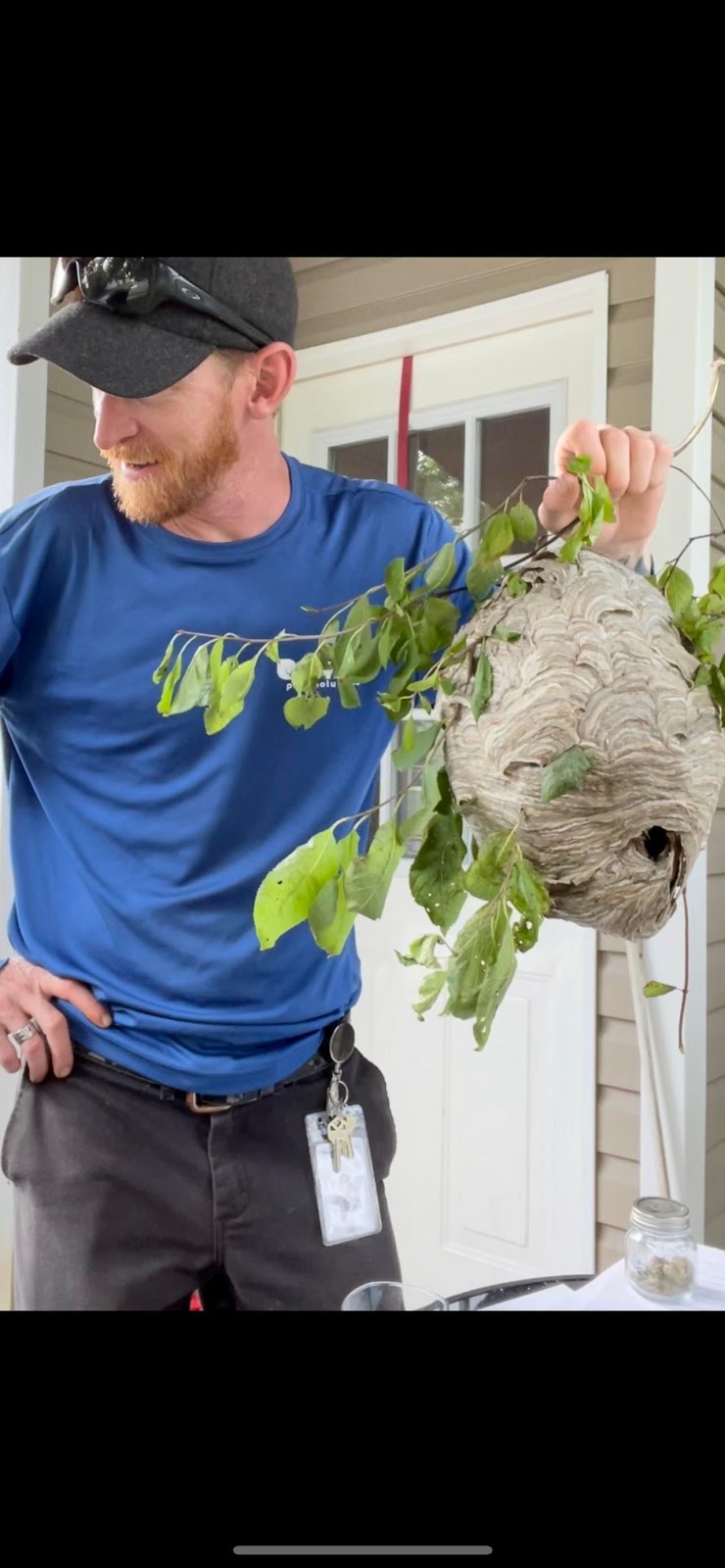 Insight Pest Solutions | Box 14, 1 Crescent Rd, Huntsville, ON P1H 1Z6, Canada | Phone: (855) 489-3640