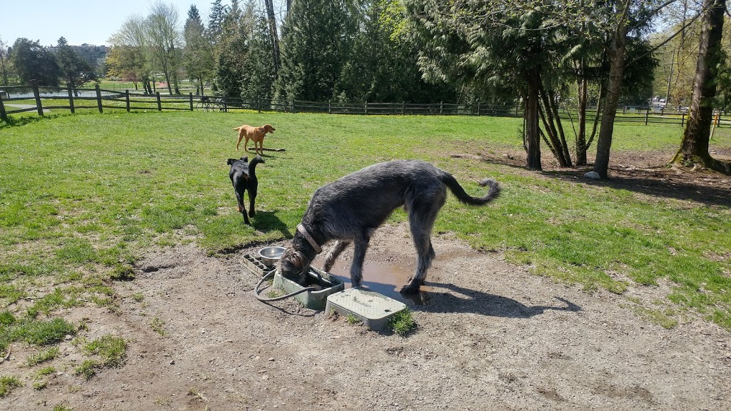Confederation Park Dog Park | 4598 Penzance Dr, Burnaby, BC V5C, Canada
