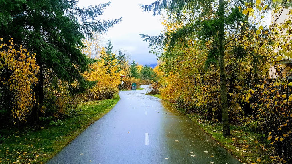 Kings Mill Walk Dog Park | 1122 Spirit Trail, North Vancouver, BC V7P 3S1, Canada