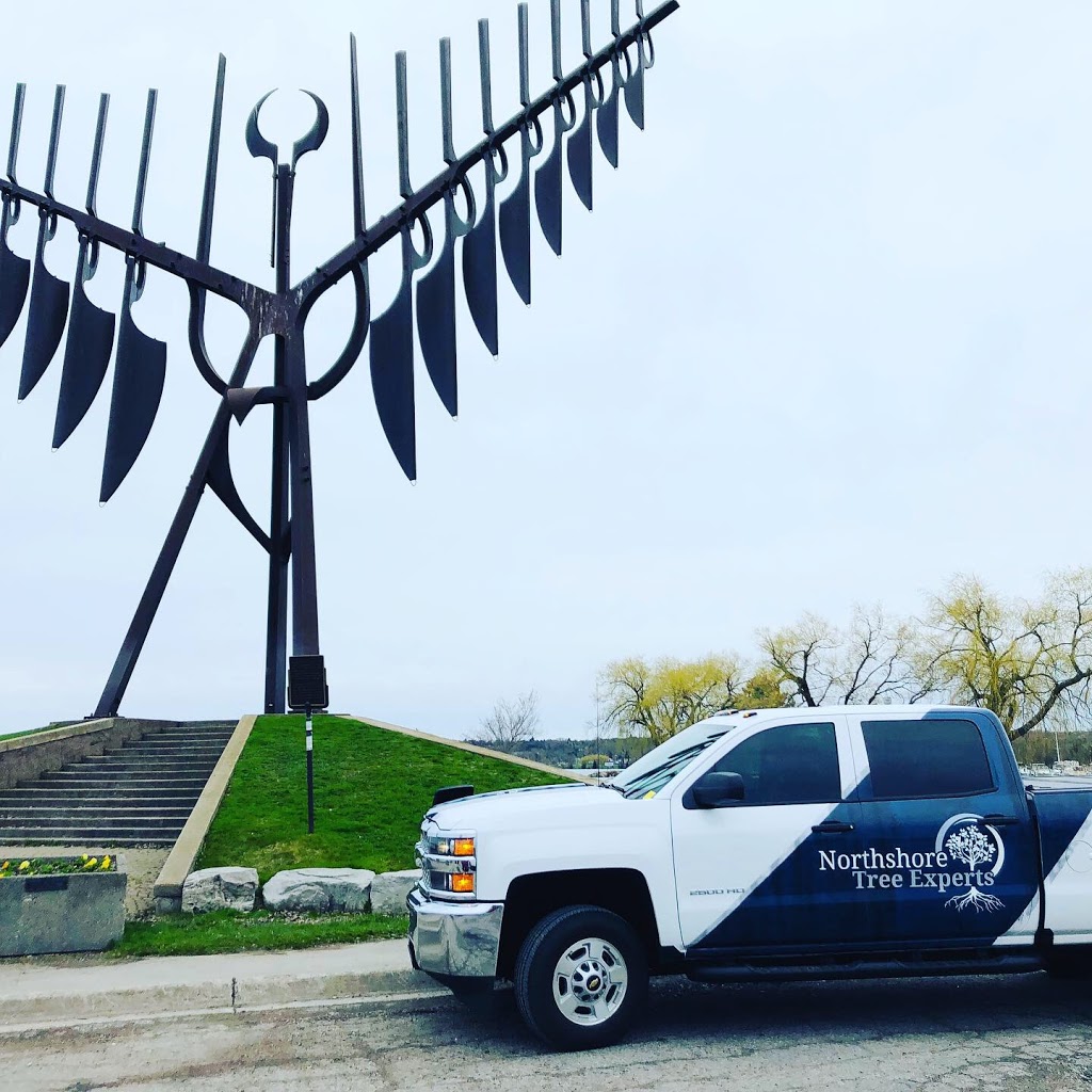 Northshore Tree Experts | 15 Oakley Park Square, Barrie, ON L4M 2J9, Canada | Phone: (705) 315-0210