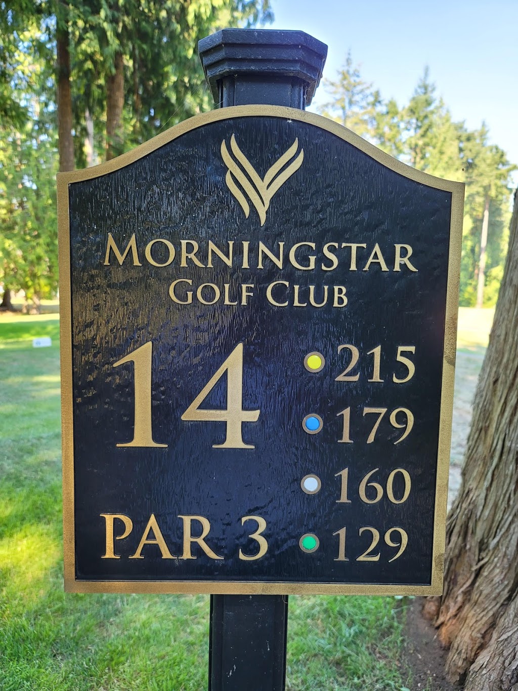 Morningstar Golf Club | 525 Lowrys Rd, Parksville, BC V9P 2R8, Canada | Phone: (250) 248-2244