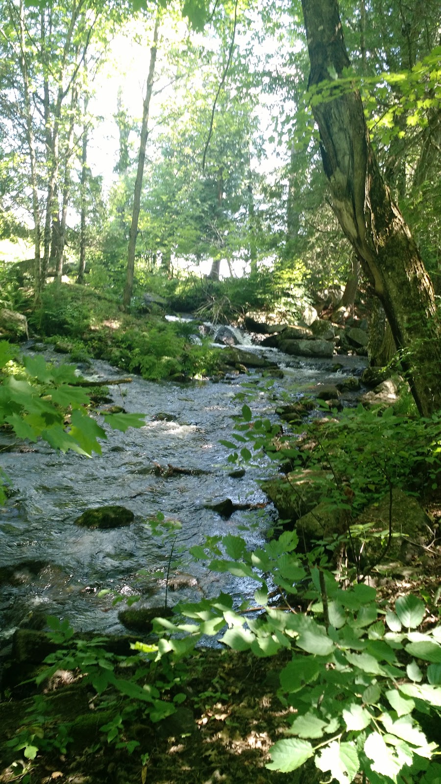 Silent Lake Park | Highlands East, ON K0L 1M0, Canada | Phone: (613) 339-2807