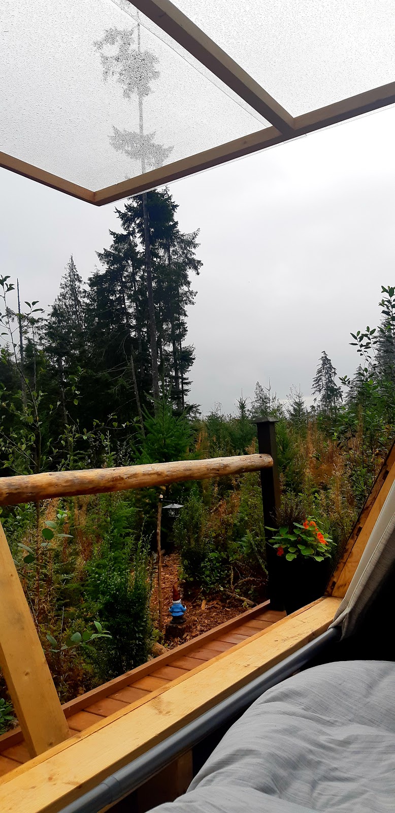 Cloud 9 Glamping | lodging | 2860 Kirby Creek Rd, Shirley, BC V9Z 1G4, Canada | 7783507611 OR +1 778-350-7611