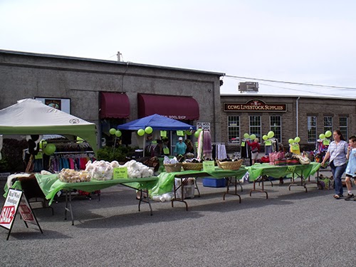 Wool Warehouse - CCWG Ltd | 142 Franktown Rd, Carleton Place, ON K7C 3P3, Canada | Phone: (613) 257-2714 ext. 4