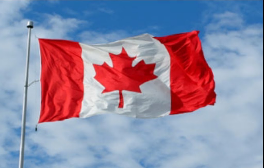 Beaches-Fallingbrook Veterinary Clinic | 1210 Kingston Rd, Scarborough, ON M1N 1N8, Canada | Phone: (416) 792-7421
