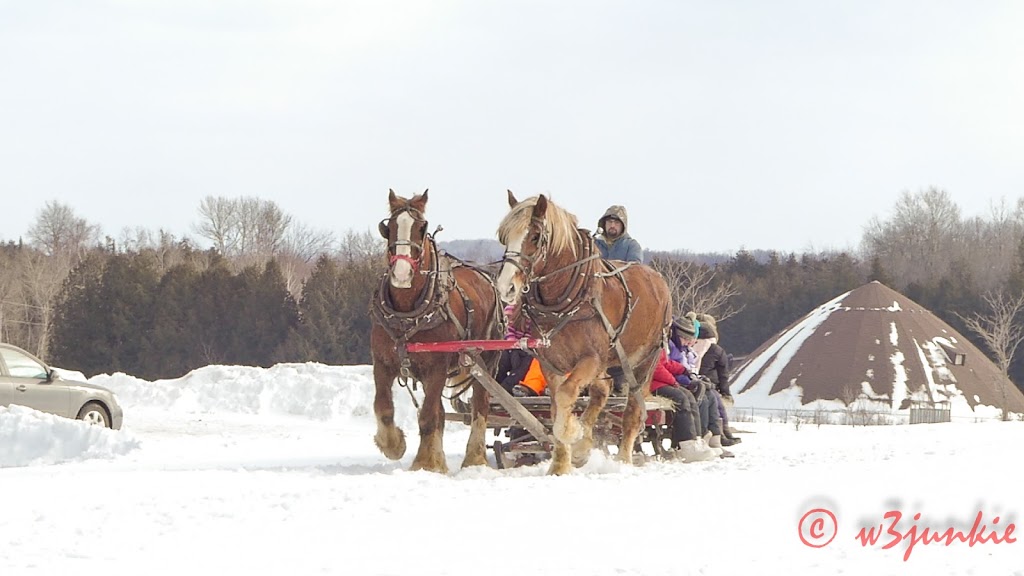 Selwyn Township - Parks & Rec | 553 Ennis Rd, Ennismore, ON K0L 1T0, Canada | Phone: (705) 292-8774