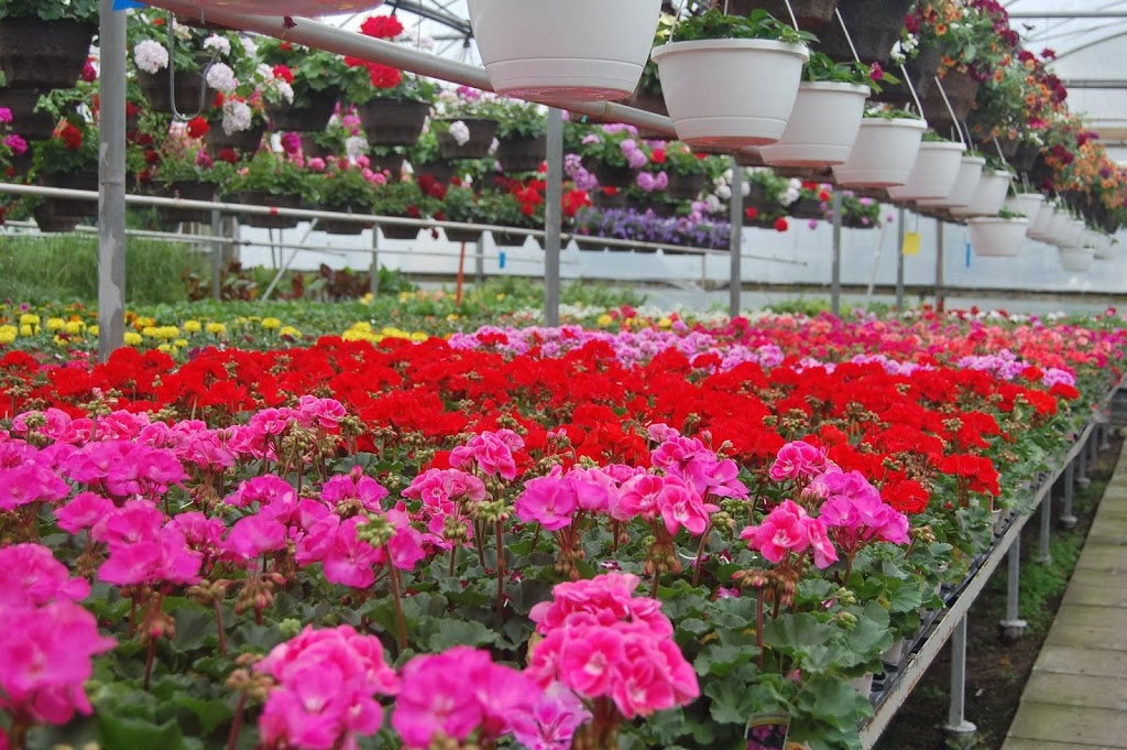 Rice Road Greenhouses and Garden Centre | 1361 Rice Rd, Welland, ON L3B 5N5, Canada | Phone: (905) 892-5832