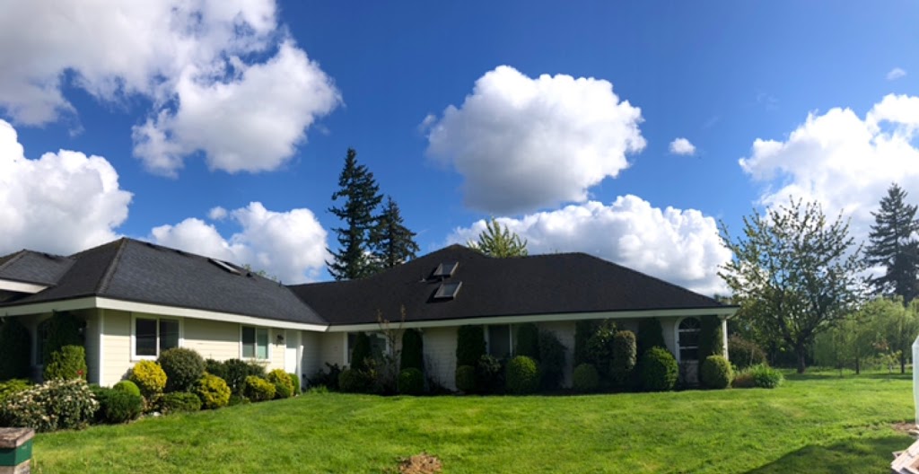 MMY Honeybee Inc | 5553 256 St, Aldergrove, BC V4W 1E7, Canada | Phone: (778) 829-9349