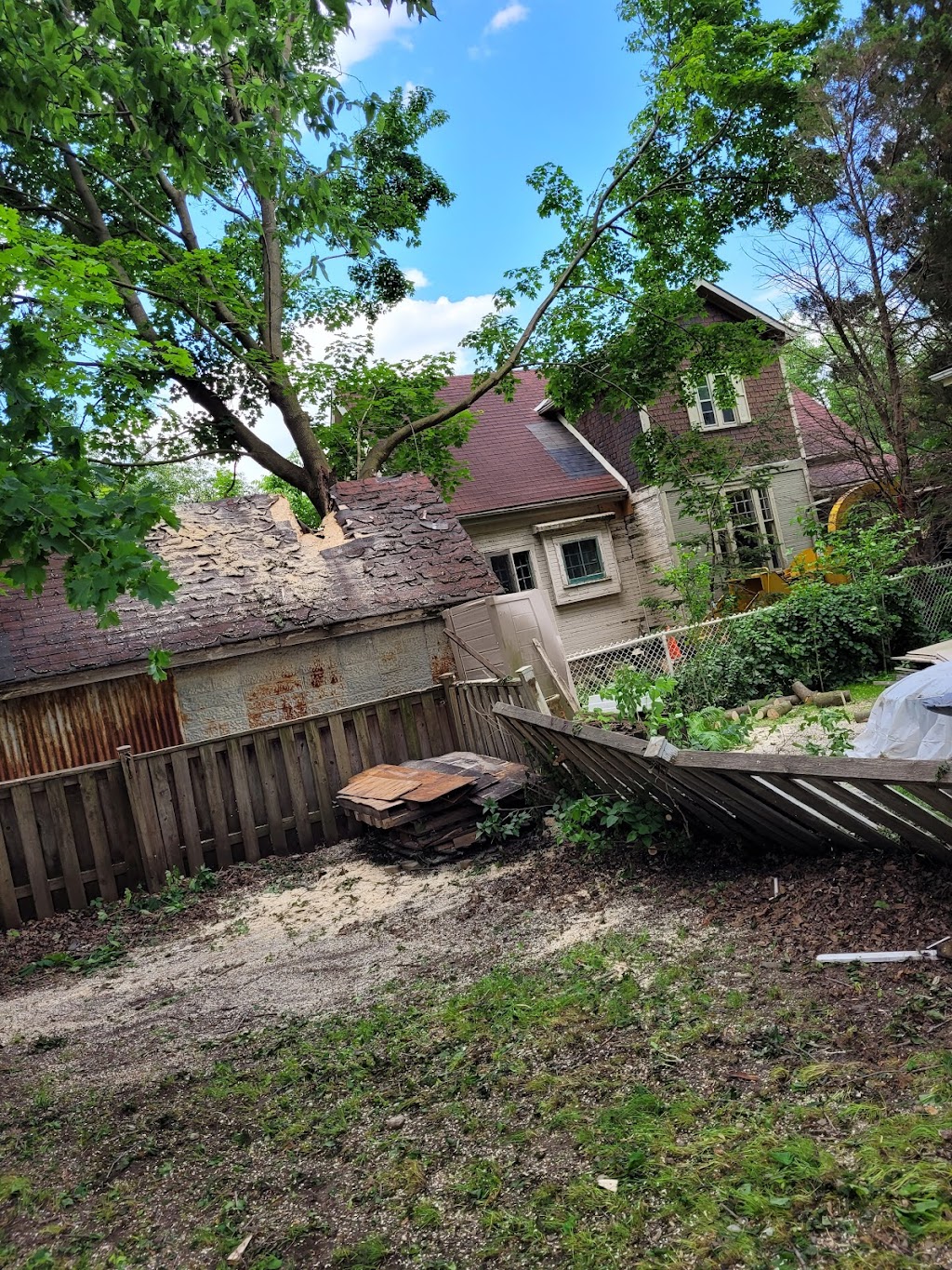 VDM Tree Services | 9307 Stewart Rd, Eden, ON N0J 1H0, Canada | Phone: (226) 378-4601