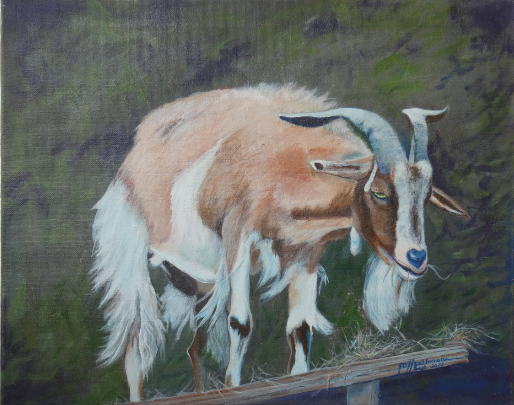Chilliwack Valley Art | 46511 Chilliwack Lake Rd, Chilliwack, BC V2R 3S2, Canada | Phone: (604) 819-0315
