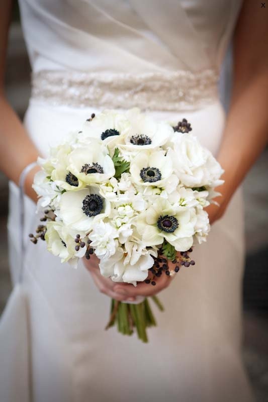 The Wild Garden | 14 Cameron St E, Cannington, ON L0E 1E0, Canada | Phone: (705) 432-3340