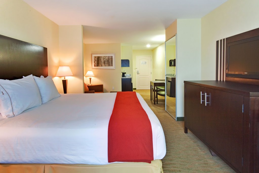Holiday Inn Express & Suites Hamburg | 3565 Commerce Pl, Hamburg, NY 14075, USA | Phone: (716) 648-9200