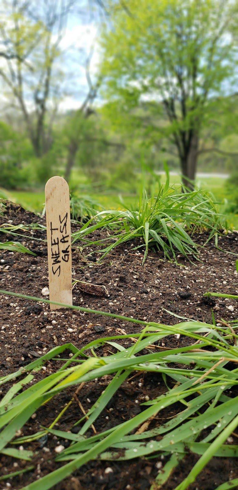 The Childrens Garden Project | 1000 Main St E, Hamilton, ON L8M 1N6, Canada | Phone: (289) 925-8612