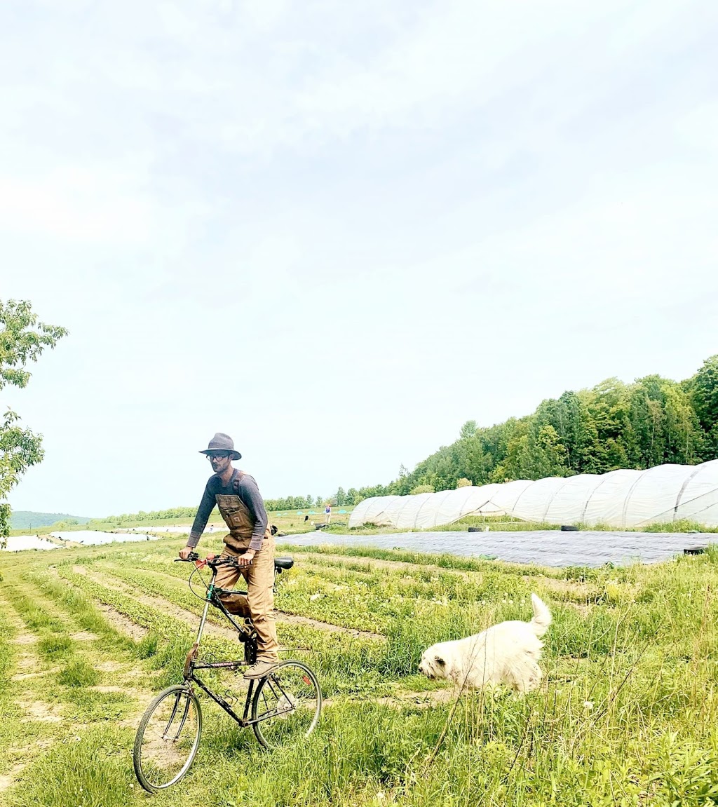 Coop Au bout du rang | 5971 Rang 1 de Sainte Cécile, Saint-Félix-de-Valois, QC J0K 2M0, Canada | Phone: (450) 271-1151