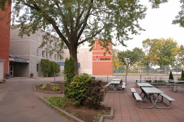 Middle School Beaubois | 4901 Rue du Collège - Beaubois, Pierrefonds, QC H8Y 3T4, Canada | Phone: (514) 684-7642