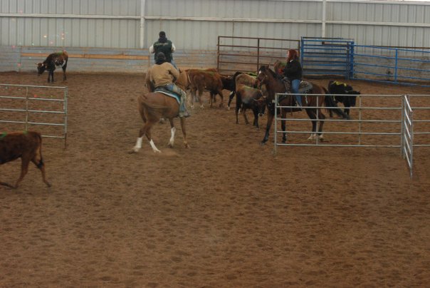 Lil-Bit Ranch | 3200 Bertie St, Ridgeway, ON L0S 1N0, Canada | Phone: (905) 894-8077