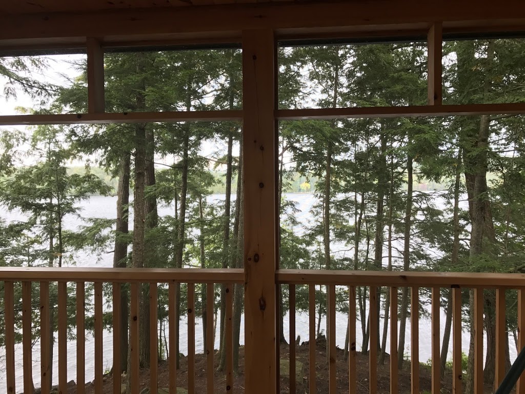 Paton Tree Services | 861 Riverlea Rd, Huntsville, ON P1H 1X5, Canada | Phone: (705) 349-0924
