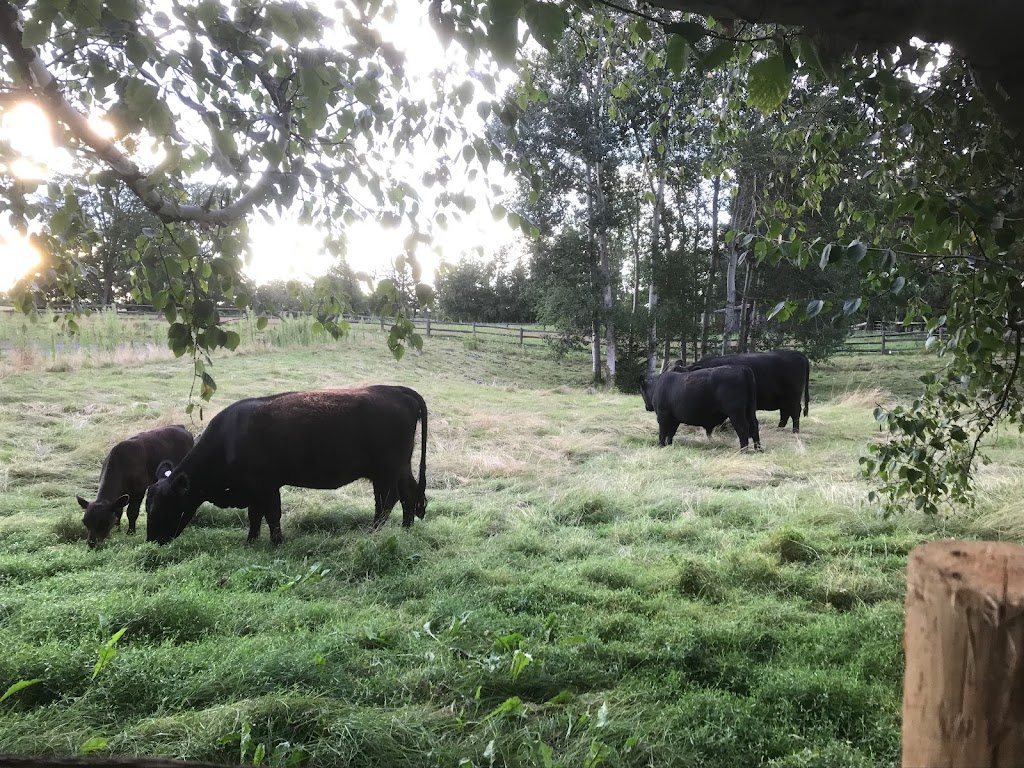 Chickadee Hill Farm | 18249 Shaws Creek Rd, Alton, ON L7K 1L2, Canada | Phone: (519) 350-6411